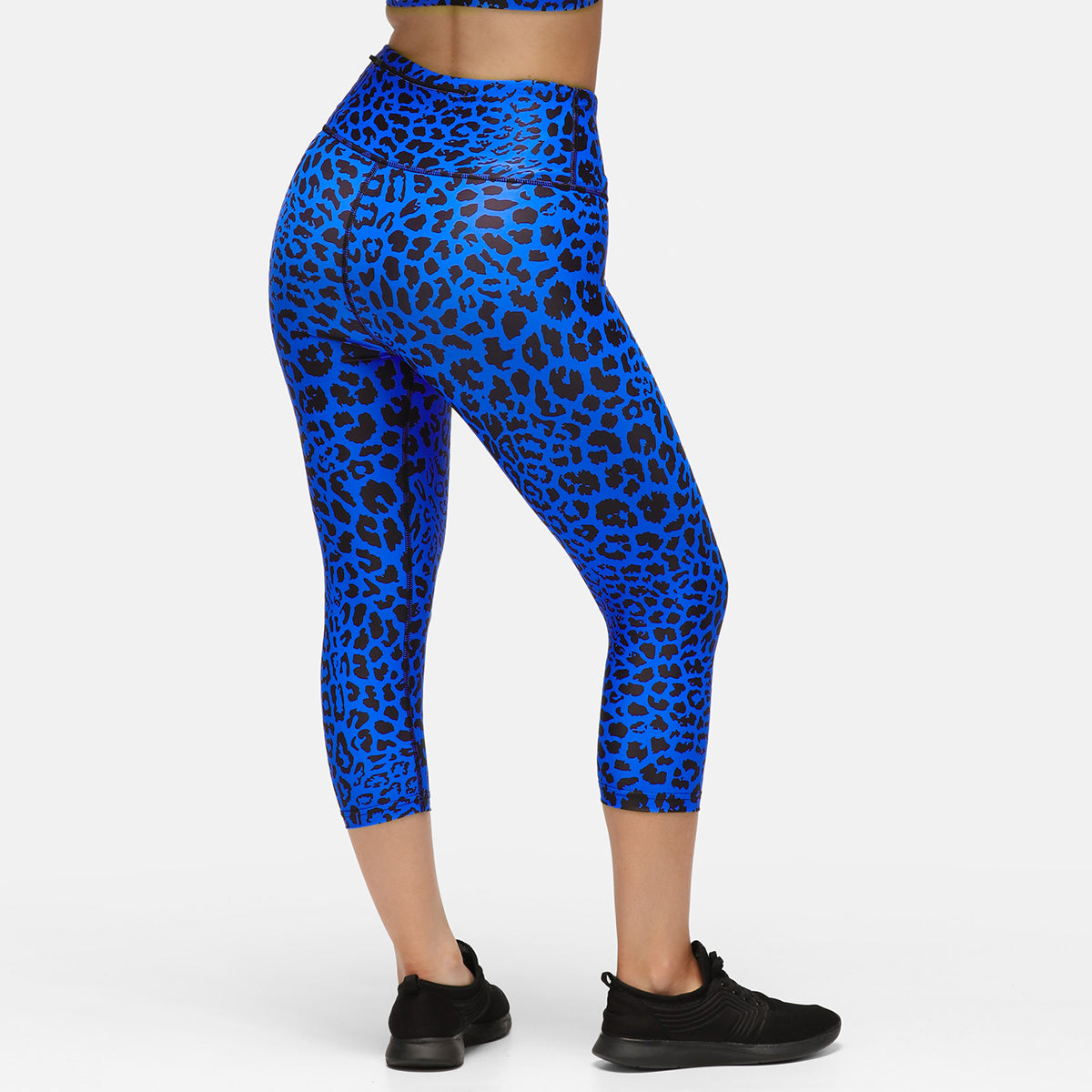 Cobalt Cat Capri