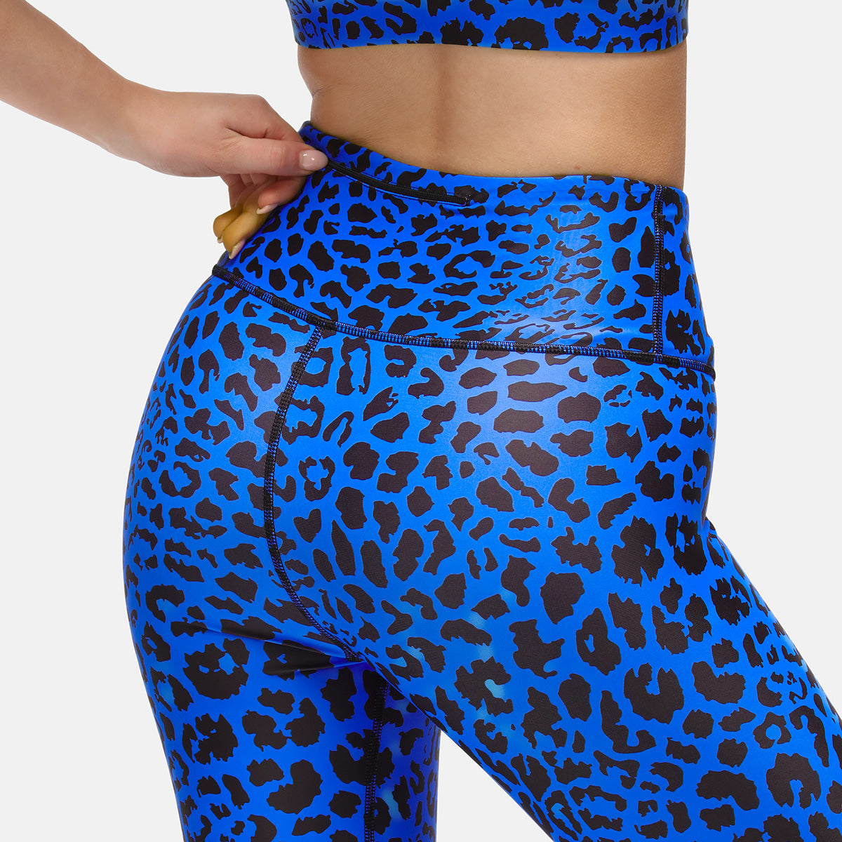 Cobalt Cat Capri