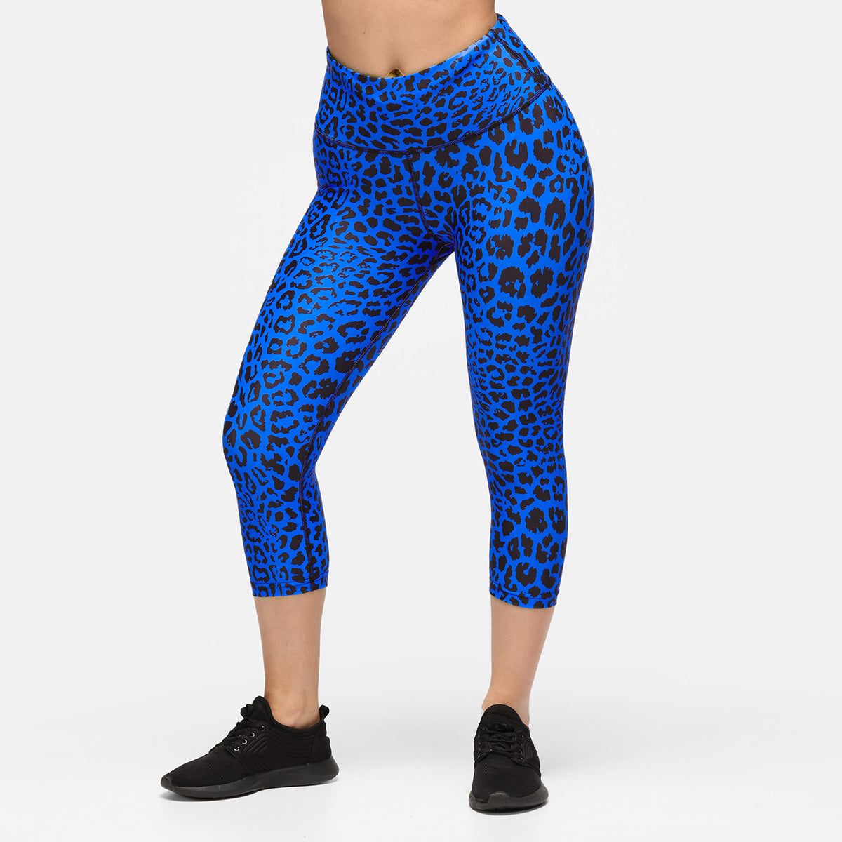 Cobalt Cat Capri